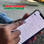 Phần mềm giúp quản lý chăn nuôi nhàn tênh