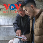 Chàng kỹ sư IT “bỏ phố về quê” làm phần mềm giúp nông dân quản lý trang trại 4.0