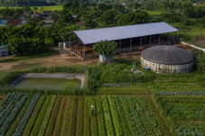 Kinh tế tuần hoàn trong chăn nuôi tận dụng chất thải làm phân bón và biogas