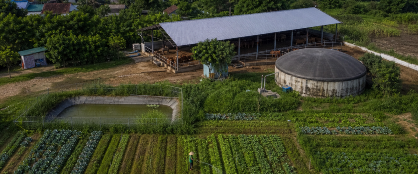 Kinh tế tuần hoàn trong chăn nuôi tận dụng chất thải làm phân bón và biogas