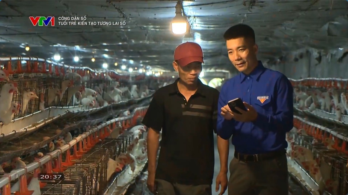Phóng sự VTV1 ghi hình cảnh hướng dẫn chủ trại dùng phần mềm ngay trong chuồng gà đẻ