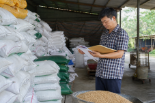 Quản lý thức ăn chăn nuôi từ kho đến từng khu nuôi