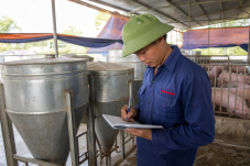 Nhân viên trang trại ghi chép lượng cám tiêu thụ để tính chỉ số FCR trong chăn nuôi
