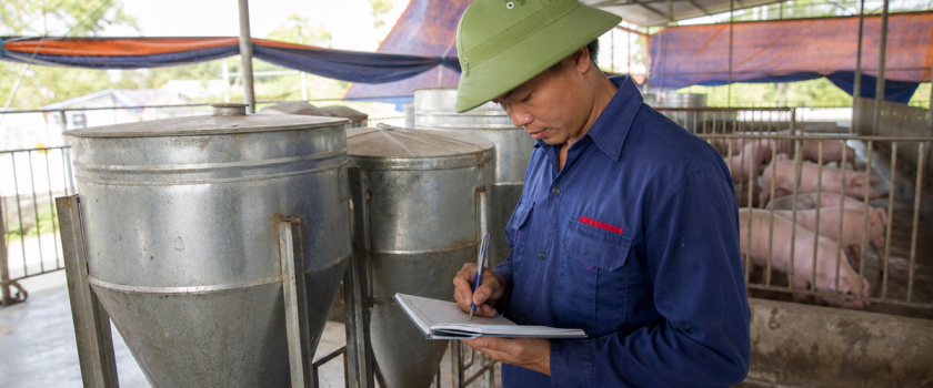 Nhân viên trang trại ghi chép lượng cám tiêu thụ để tính chỉ số FCR trong chăn nuôi